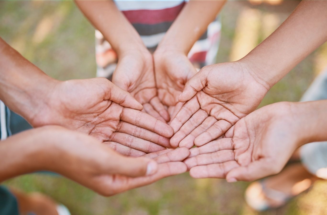 NGOs & Non-Profits