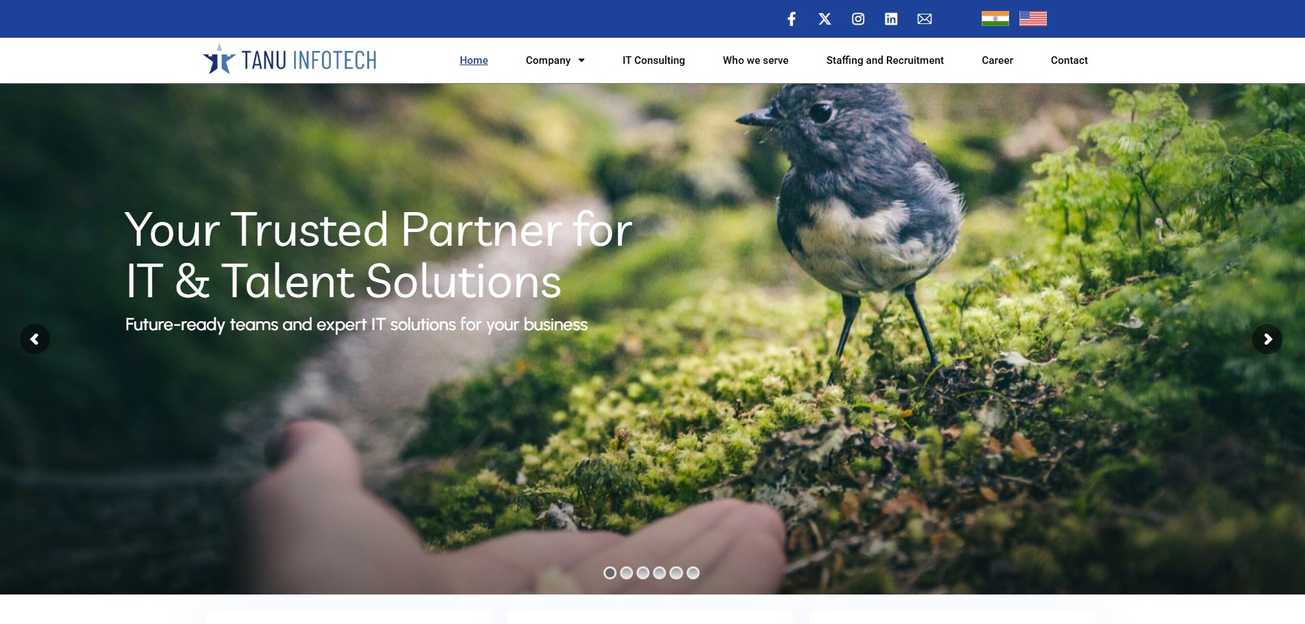 TANUINFOTECH — Website Designing In Hyderabad RedMinds